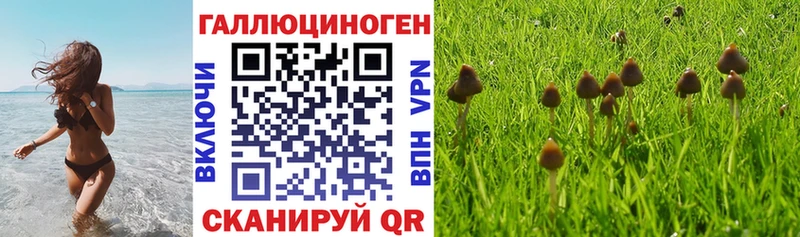 Псилоцибиновые грибы Cubensis  MEGA зеркало  Курган 